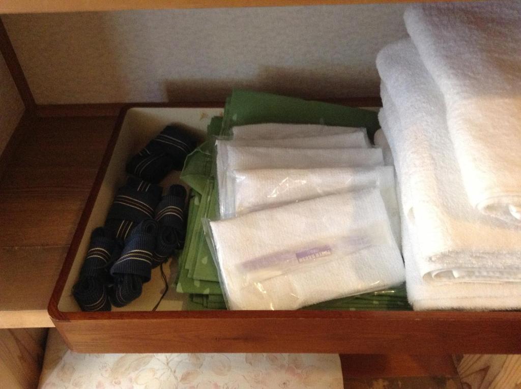 Araya Ryokan Хакуба-Мура Номер фото